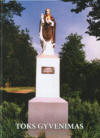 Toks gyvenimas. – Ukmergė, 2008. Knygos viršelis
