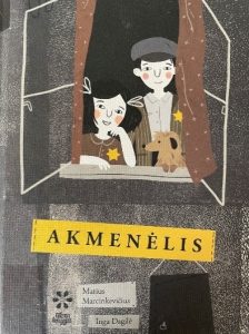 Marcinkevičius, Marius. Akmenėlis. – Vilnius, 2020. Knygos viršelis